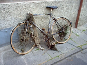 fahrrad