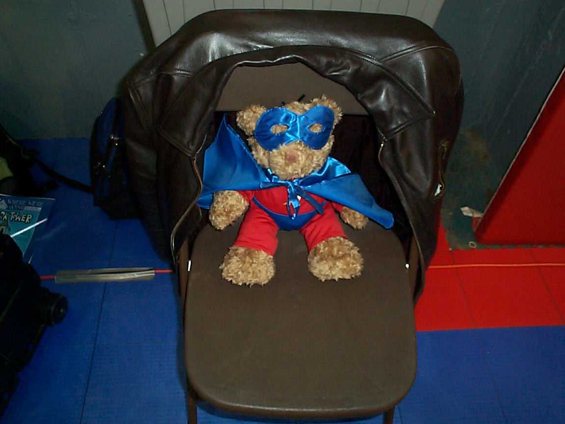 The Captain Geek Teddy Bear