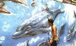 dolphinwork.jpg