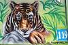 tiger.jpg