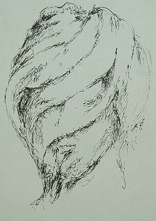 Go to :DRAWINGS