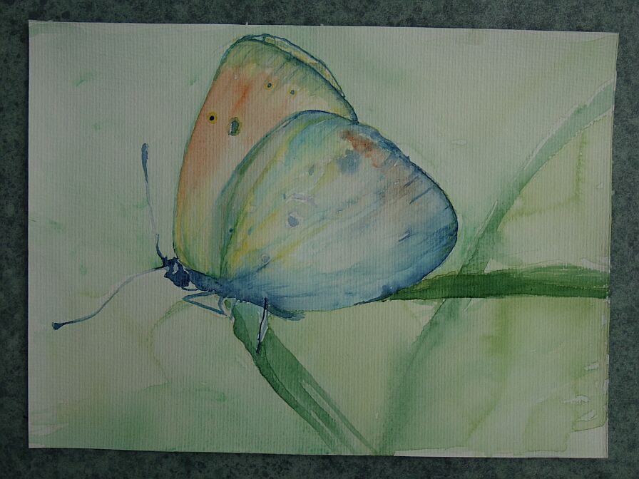 Go to: WATERCOLOURS