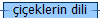 �i�eklerin dili