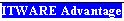 ITWARE Advantage