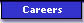 Careers, Offshore Development, Project Services, Custom Development