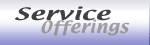 Service Offerings, Offshore Development, Project Services, Custom Development