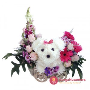 Puppy in basket