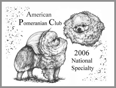 pomeranian club of america doublesse pomeranians and shih tzu pomeranian club of america doublesse pomeranians and shih tzu