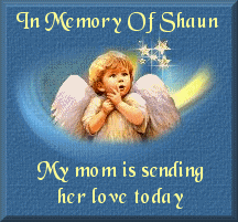 Shaun's Banner
