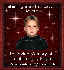 Shining Star Award