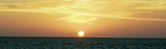 Sunset on Net Reef