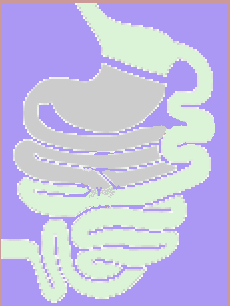 Roux-en-Y diagram