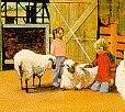 HEAVY PETTING ZOO
