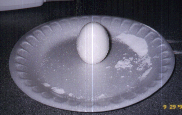 The Amazing Egg