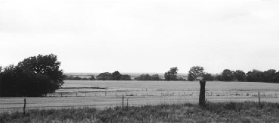 Kansas Field