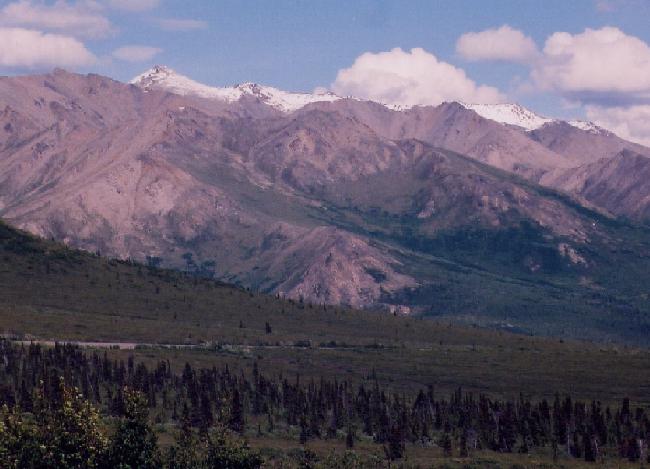 Denali Park