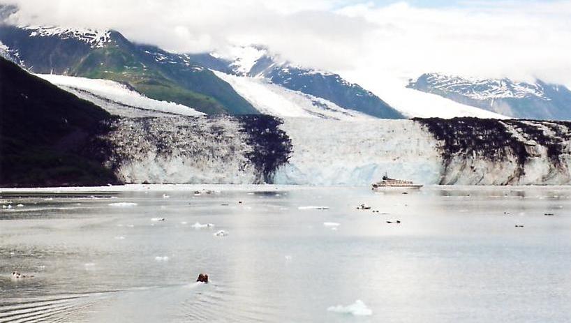 Harvard Glacier