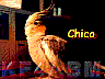 8a172048.jpg