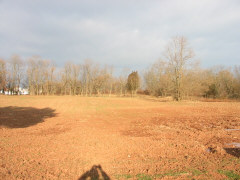 Click for a panorama view of Phase 1 - Charles Lane
