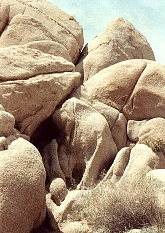 These rocks are alive!