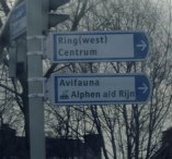 aankomst Alphen aan den Rijn, zoals je ziet