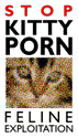 yes, there really is a site called "kittyporn.org"&nbsp; one called "kittyporn.com", too!