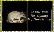 Free Guestbook from Bravenet