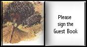 Free Guestbook from Bravenet