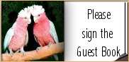 Free Guestbook from Bravenet