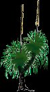 grasstree