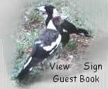 Free Guestbook from Bravenet