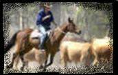 mustering