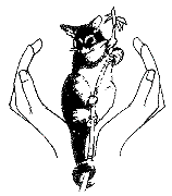 WIRES emblem
