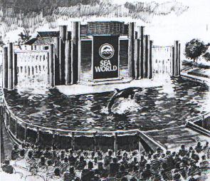 Artists impression of the Killer Whale Stadium 1985