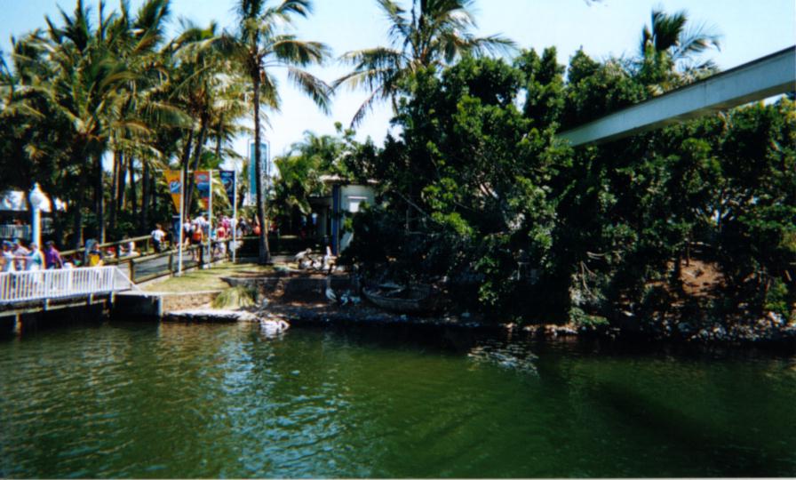 This lake in Seaworld is home to all types of marine life, from sharks to groupers to turtles.  The area is also home to rescued birds, which are unable to be released back to the wild.  
