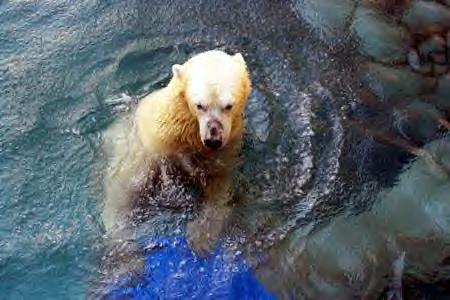 Photo courtesy of http://unadorned.org