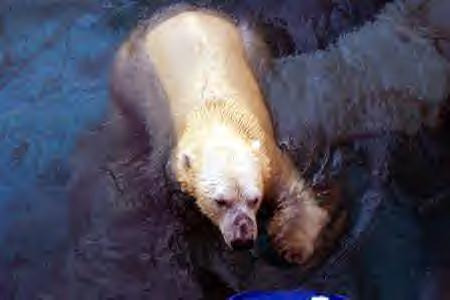 Photo courtesy of http://unadorned.org