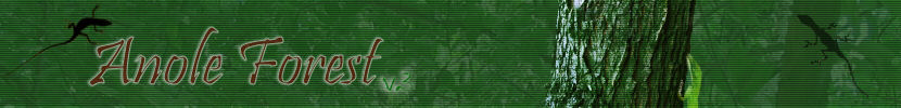 Anole Forest