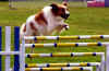 2003 BC Regionals Mocha.jpg (252305 bytes)