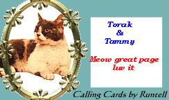 catcard1.jpg (10042 bytes)