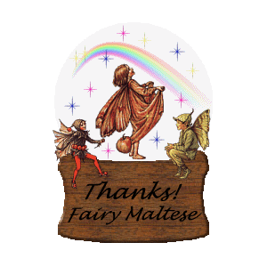 thx_fairymaltese.gif (142165 bytes)