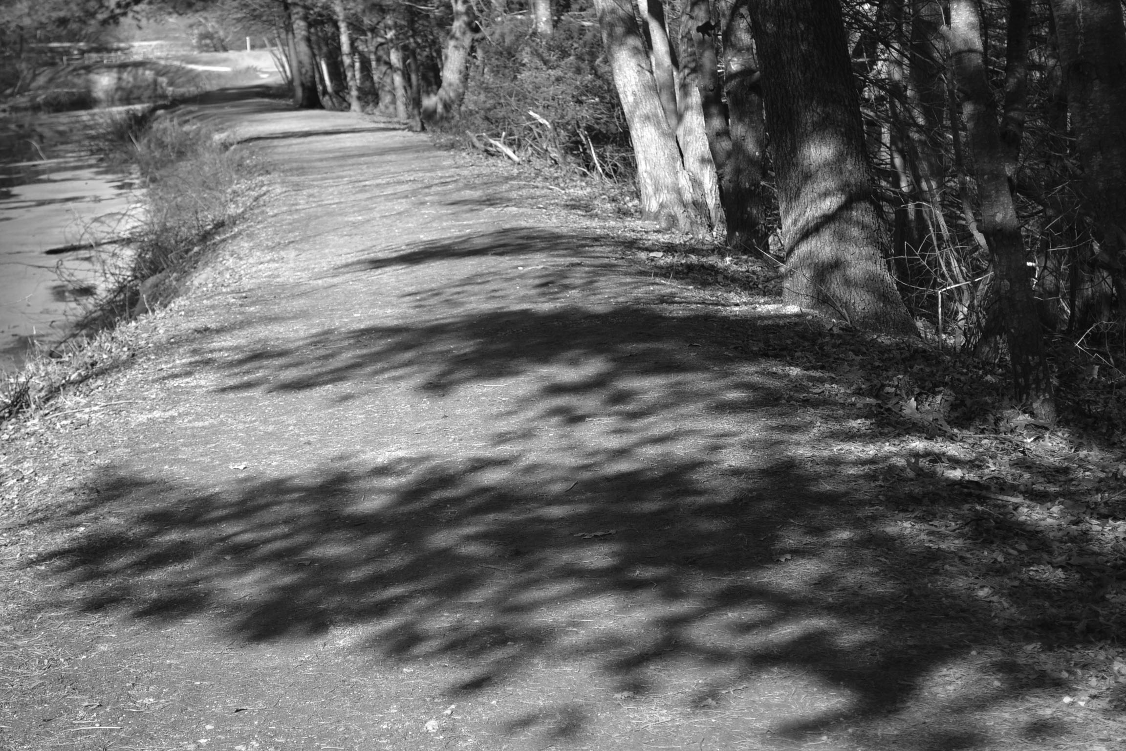 path