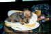 hotdog1.jpg (81102 bytes)