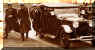 OldCruiser.jpg (12396 bytes)
