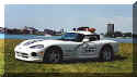 viper.jpg (23515 bytes)