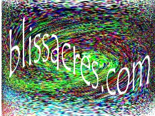 click here to go to www.blissacres.com