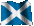 scoutland.gif (5527 bytes)
