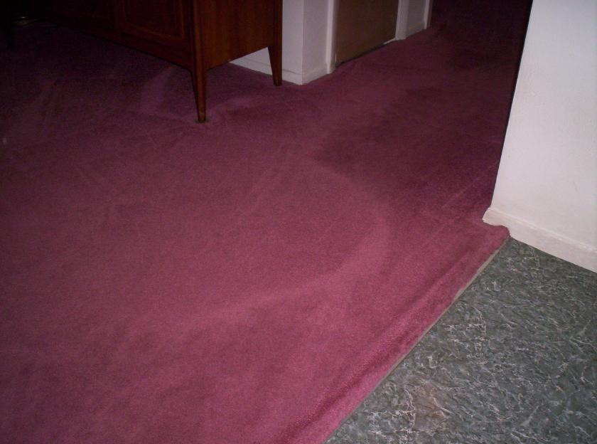 100_9683.JPG