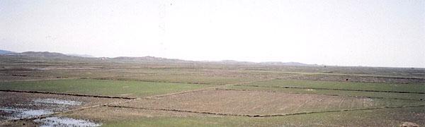 Rice fields near Kwaksan
