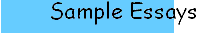 Sample Bursary Essays